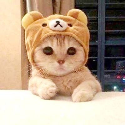 ckinretrac28's profile picture. 