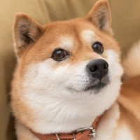Hanataba (@ricowskidudel) 's Twitter Profile
