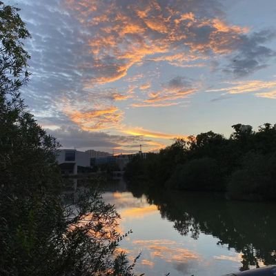 a1an_zhang's profile picture. 
