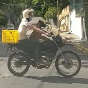 elgringozolano's profile picture. Definirme en 160 carácteres?. Me puedo definir en 3 Palabras: responsable, Dedicado, y Sanador de almas.  🇻🇪 - 🇫🇷.  🧭Ccs.