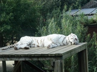 BucksM999's profile picture. 