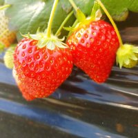 ゆい💜 (@yuimaru_94) Twitter profile photo