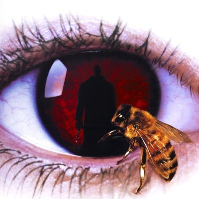 NapleAchille's profile picture. Je suis un créateur de contenu