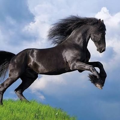 dollpincrypto's profile picture. enterprener