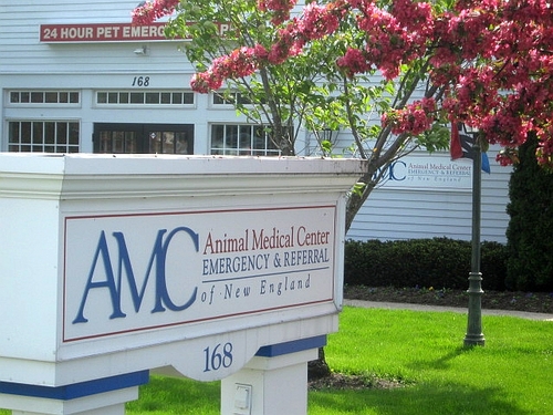 The Animal Medical Center of New England (AMC) is a 24/7 animal emergency and referral hospital located in Nashua, New Hampshire.