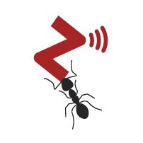 whizants's profile picture. If you are a management consultant , follow us!