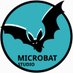 Microbat Studio (@microbatstudio) Twitter profile photo Microbat Studio (@microbatstudio) Twitter profile photo