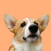 beff @ work (@beffatwork) 's Twitter Profile