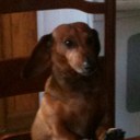 Robert Seliga - @bakingbob - Twitter