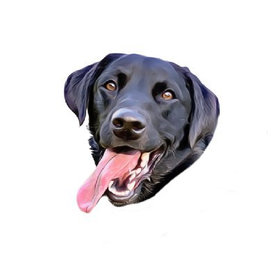 Cartoon portraits for #DogsofTwittter. Printed on anything.
Use code YDOETW25 for 25% off your order. Ships worldwide.