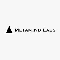 MetaMind Labs (@metamindlabs) 's Twitter Profile