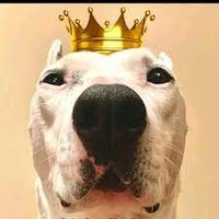 Mister Mainer (@mister_mainer) 's Twitter Profile Photo