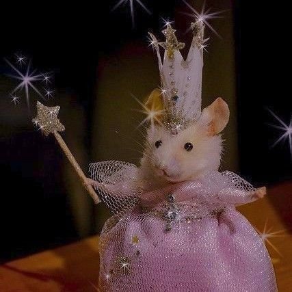 typowa jesieniara mordo,ubieram siÄ jak menelicaš¤Ŗš¤Ŗ
ksiÄ
żki to moja miÅoÅÄ ā¤ļøā¤ļø
