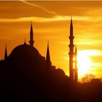 ArashyAmir's profile picture. 