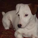 Loraine Taylor - @beancounterfl - Twitter