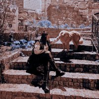 Beren Doğruer♛ (@berendogruer) Twitter profile photo