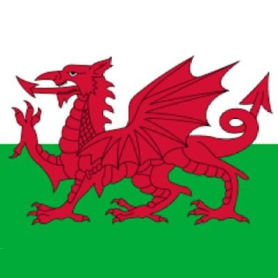 aw_whitlock's profile picture. I live west of Cardiff, the capital city of Wales, UK!  Hence the Welsh flag being my profile picture?   Animal lover, especially dog's and cat's!