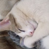 I. M. (@itzmee88) Twitter profile photo
