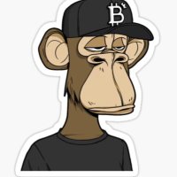 2400 (@squ11d) 's Twitter Profile Photo