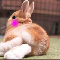 User profile - @lapaki20.