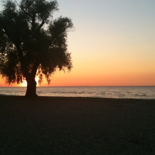 defiantalpha's profile picture. 