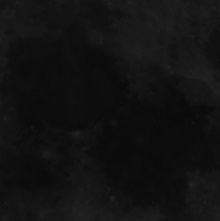 shrimpulka's profile picture. 