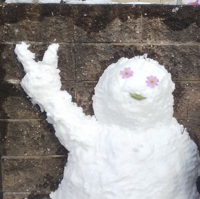 8JqreP3z2hb6DxK's profile picture. #snd 　#annkw　#ふらっと954 📻ラジオが好きでゲス💥🫵💥ゲスナーは友達になりたい（無言フォローも嬉しいです）。サバンナ八木ちゃんに感化されFP1級合格(2025/3/14)🌸宅建結果待ち😵‍💫