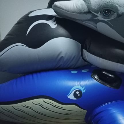 Lover squeaky animal inflatables / non popper / Guy / Straight / Single / SFW only / Welcome all followers