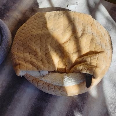 uXjMB6VsQ4UycRx's profile picture. 