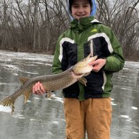 GRIFFIN STAN (@griffinstan3) 's Twitter Profile