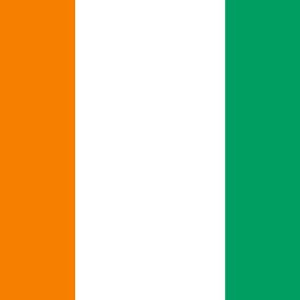 Injures et calomnies sont en réalité des signes de fébrilité qui indiquent clairement que la machine ( Frap ) est grippée.
fier d' être nigero-ivoirienne