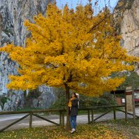 سارة (@sara2flauta) 's Twitter Profile Photo