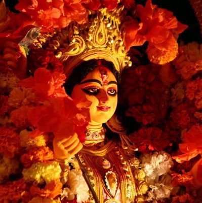 BSP Supporter
महादेव भक्त
Philosopher, Anthropologist ,Biologist