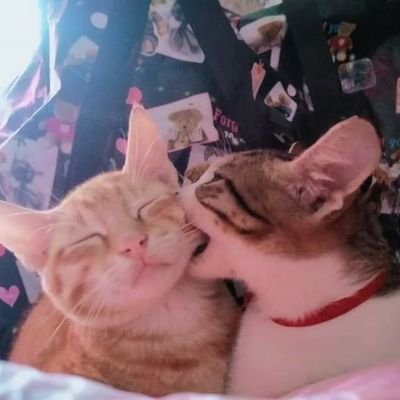 👫❤❤