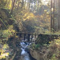 🦉 (@ta5sa9kun) Twitter profile photo