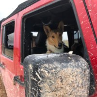 Jock (@jockk81) 's Twitter Profile