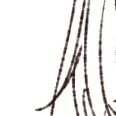 hillvenさんのプロフィール画像