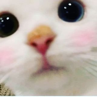 j4hvester's profile picture. 