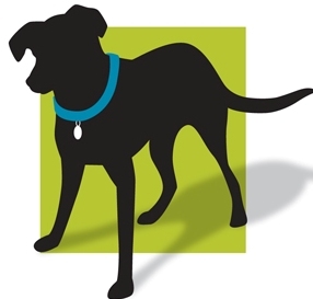 ScoutsFund's profile picture. Scout's Animal Rehab Therapy Fund is the nation's only nonprofit dedicated to helping special needs animals get the rehab therapy they need to live better lives