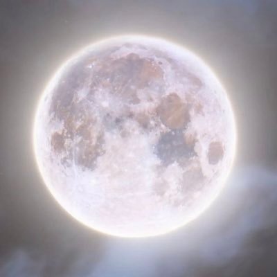 사람쥬아~/이쪽여자/2n/