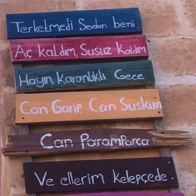 Hatırla!Senin çiçeklerin,en sevdiğin kahramanın öldüğü kitapta unutulmuş..