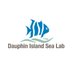 Dauphin Island Sea Lab (@disealab) Twitter profile photo Dauphin Island Sea Lab (@disealab) Twitter profile photo