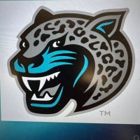 Seckinger Cheerleading (@skg_compcheer) 's Twitter Profile