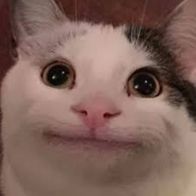 QEOznuBnksvsiu1's profile picture. よろしく