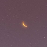74 (@qhe_lz) 's Twitter Profile Photo