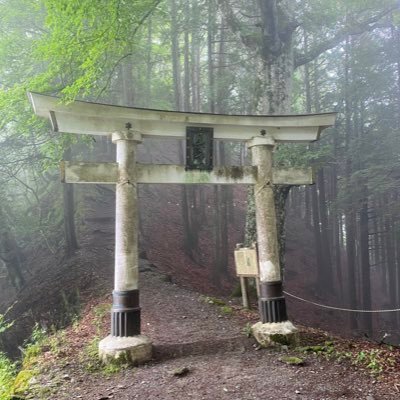 syrup16gを敬愛してます。といいつつ洋ロックも大好き。最近の楽しみは神社巡り。無言フォローですみません。