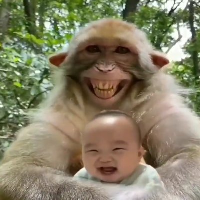 Visit Monkey Laugh Profile