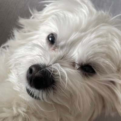 heaven_j0536's profile picture. 2nd year PhD in 🇺🇸, ChE, INTP, 주로 일상을 다룹니다.