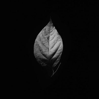 Tymeless5's profile picture. Here for laughs, truth bombs, and questionable life choices.