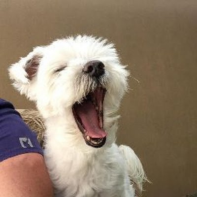 JeffVanklompen4's profile picture. 